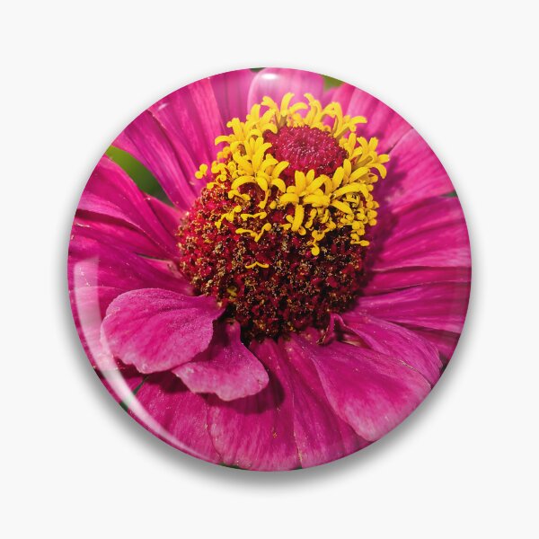 Item preview, Pink Zinnia Macro — Soft Fine Art Flower Photography designed and sold by Violafleurviolett.