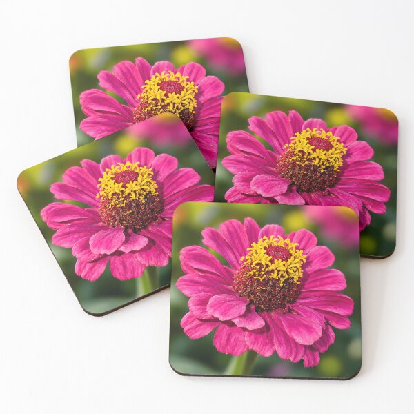 Item preview, Pink Zinnia Macro — Soft Fine Art Flower Photography designed and sold by Violafleurviolett.