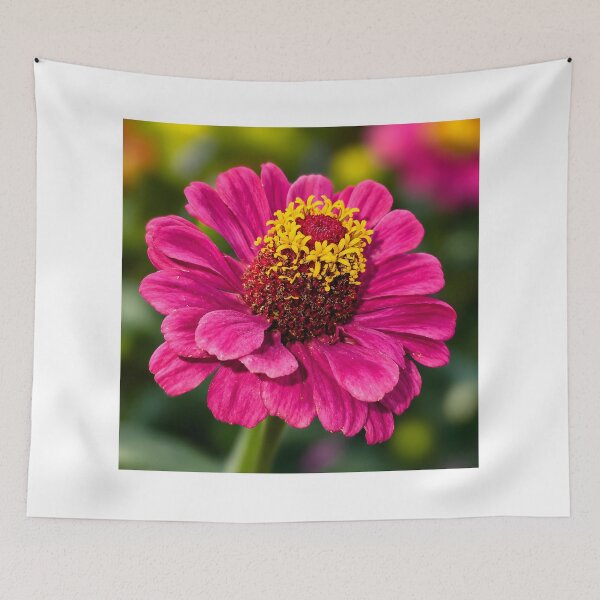Item preview, Pink Zinnia Macro — Soft Fine Art Flower Photography designed and sold by Violafleurviolett.
