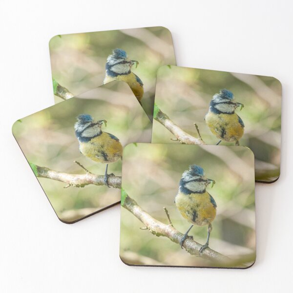 Item preview, Blue Tit With Caterpillar | British Garden Bird Wildlife Photography designed and sold by ThatSurreyLife.