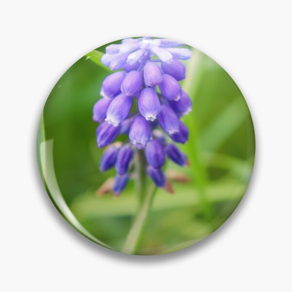 Item preview, Bright Blue Grape Hyacinth Spring Bloom designed and sold by MariaAteva.
