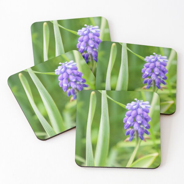 Item preview, Bright Blue Grape Hyacinth Spring Bloom designed and sold by MariaAteva.