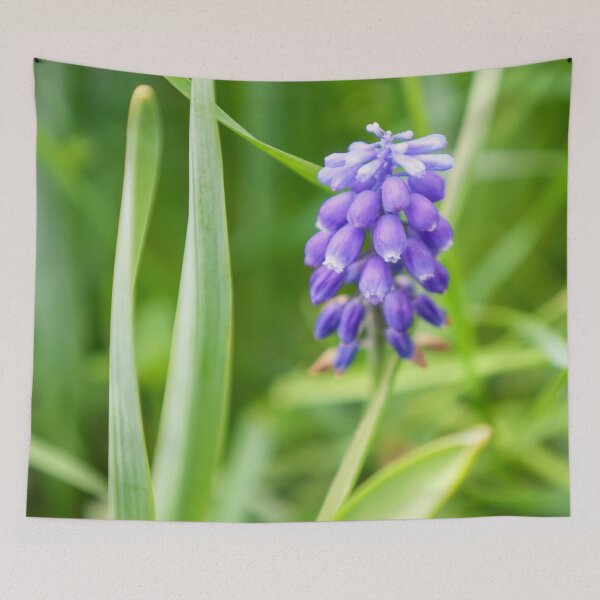 Item preview, Bright Blue Grape Hyacinth Spring Bloom designed and sold by MariaAteva.