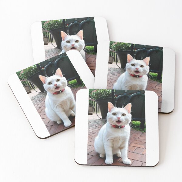 Item preview, Animals - Expressive White Cat, Amusing Garden Scene designed and sold by DoodyPets.