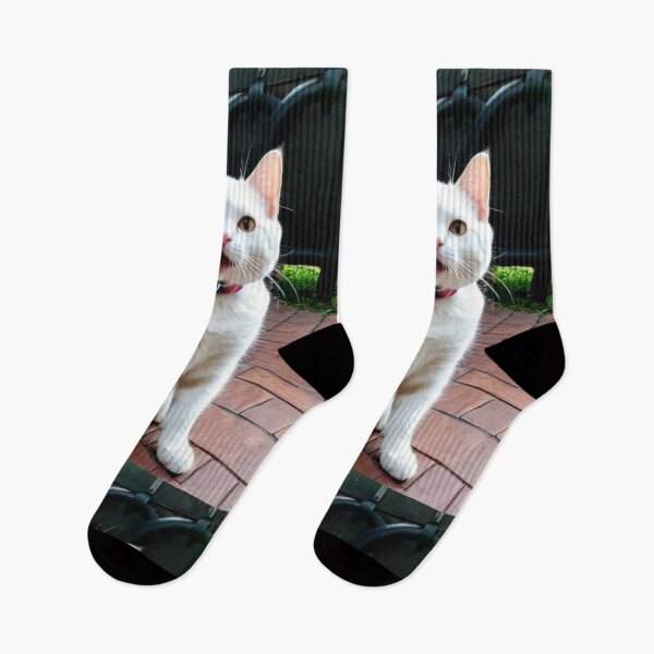 Item preview, Animals - Expressive White Cat, Amusing Garden Scene designed and sold by DoodyPets.