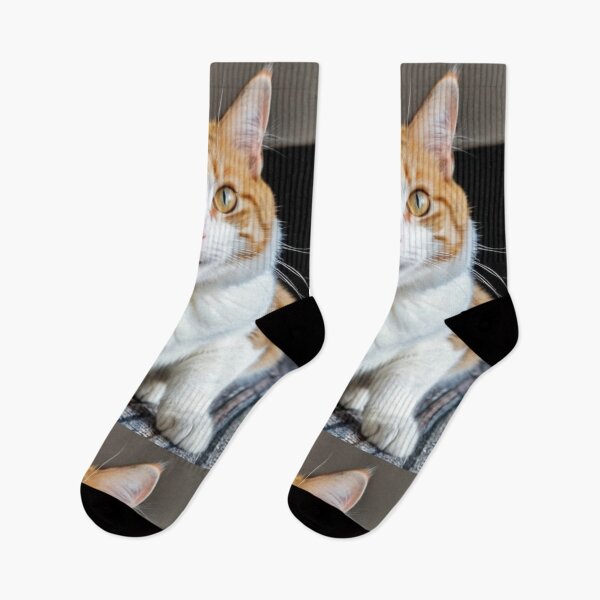 Item preview, Animals - Ginger and White Cat, Captivating Feline Portrait designed and sold by DoodyPets.