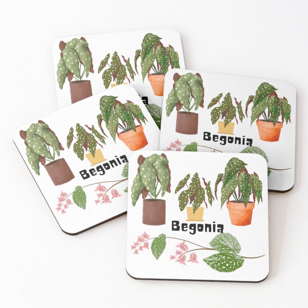 Item preview, Begonia designed and sold by PlantSholic.