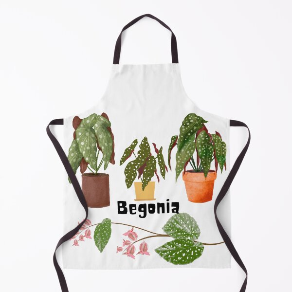Item preview, Begonia designed and sold by PlantSholic.