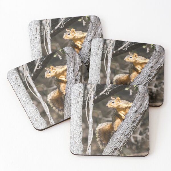 Item preview, Woodland Lookout designed and sold by Debra Martz.