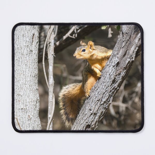 Item preview, Woodland Lookout designed and sold by Debra Martz.