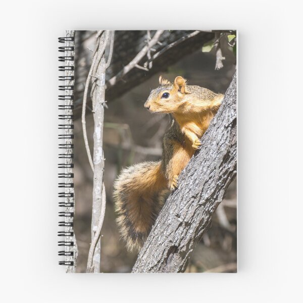 Item preview, Woodland Lookout designed and sold by Debra Martz.