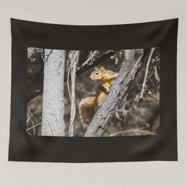 Item preview, Woodland Lookout designed and sold by Debra Martz.