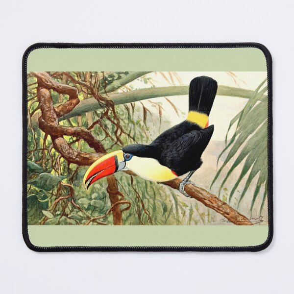 Item preview, Vintage Toucan designed and sold by collageDP.