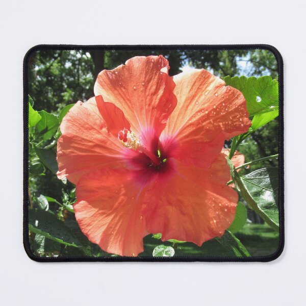 Item preview, Stunning Hibiscus Flower designed and sold by collageDP.