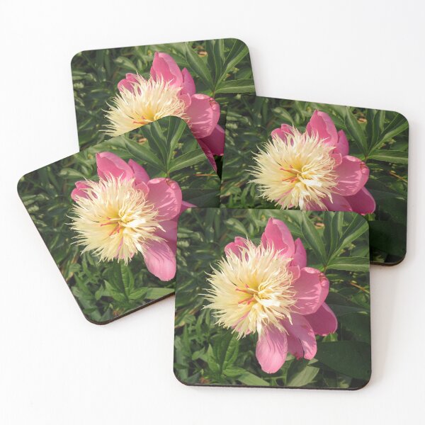 Item preview, Peony Profile designed and sold by collageDP.