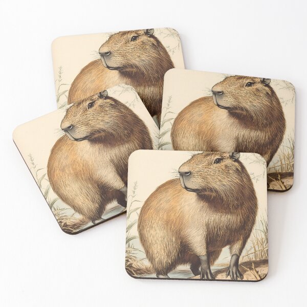 Item preview, Capivara — Gravura Botânica Vintage | Atlantic Forest designed and sold by AtlanticForest.