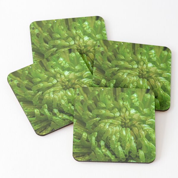 Item preview, Moody Dark Green Chrysanthemum Flower Macro Botanical Pattern designed and sold by MariaAbaza.