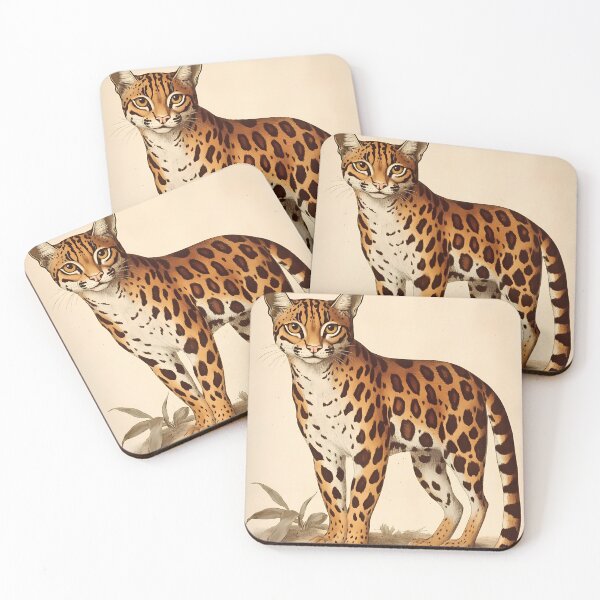 Item preview, Jaguatirica — Ilustração Científica Vintage | Atlantic Forest designed and sold by AtlanticForest.