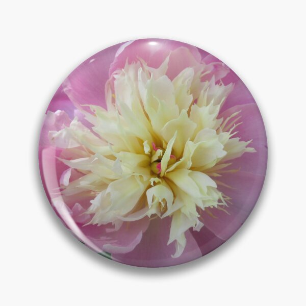 Item preview, Pink Peony designed and sold by collageDP.