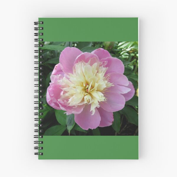 Item preview, Pink Peony designed and sold by collageDP.