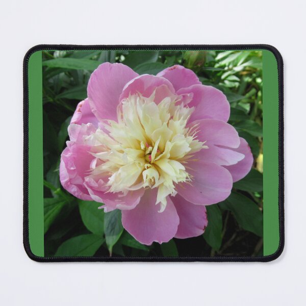 Item preview, Pink Peony designed and sold by collageDP.
