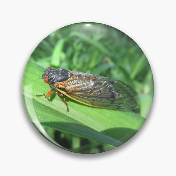 Item preview, 17 Year Cicada 2024 designed and sold by collageDP.