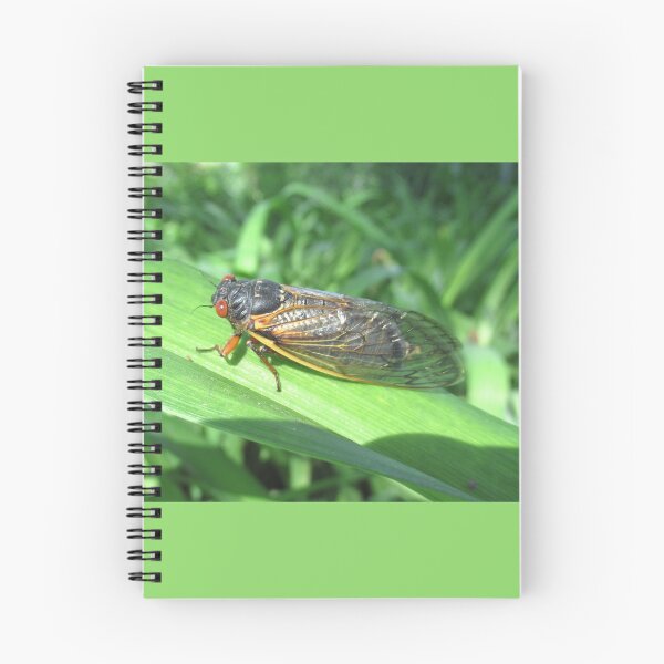 Item preview, 17 Year Cicada 2024 designed and sold by collageDP.