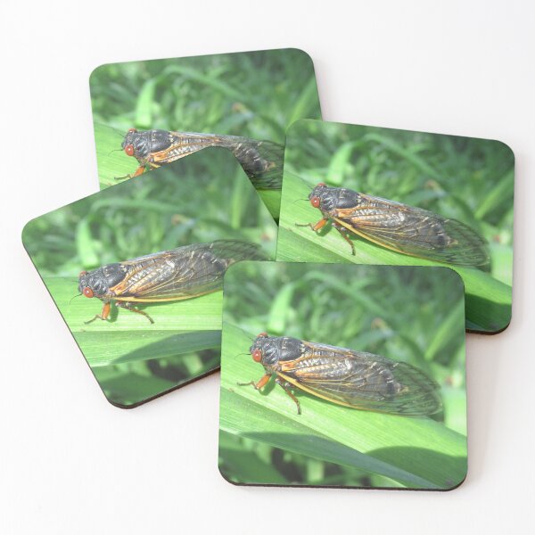 Item preview, 17 Year Cicada 2024 designed and sold by collageDP.