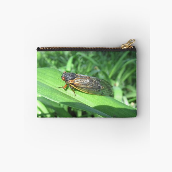 Item preview, 17 Year Cicada 2024 designed and sold by collageDP.