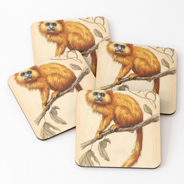 Item preview, Mico-Leão-Dourado — Ilustração Científica Vintage | Atlantic Forest designed and sold by AtlanticForest.