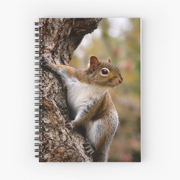 Item preview, Tree Climber designed and sold by Kimberly Palmer.