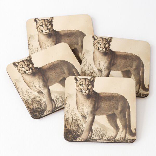 Item preview, Puma — Gravura Botânica Vintage | Atlantic Forest designed and sold by AtlanticForest.