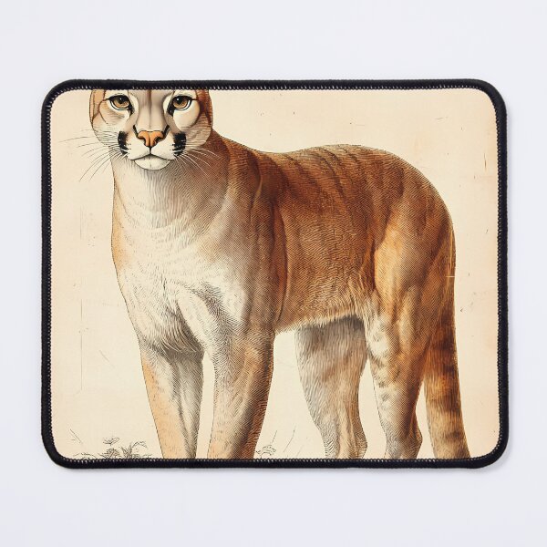 Item preview, Puma — Ilustração Científica Vintage | Atlantic Forest designed and sold by AtlanticForest.