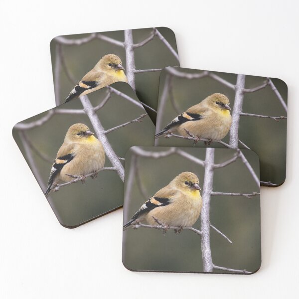 Item preview, Golden Perch designed and sold by Kimberly Palmer.