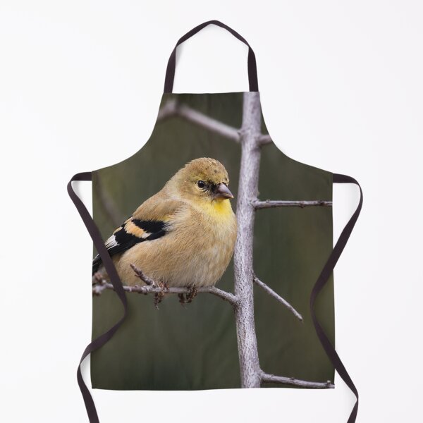 Item preview, Golden Perch designed and sold by Kimberly Palmer.
