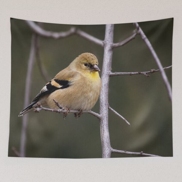 Item preview, Golden Perch designed and sold by Kimberly Palmer.
