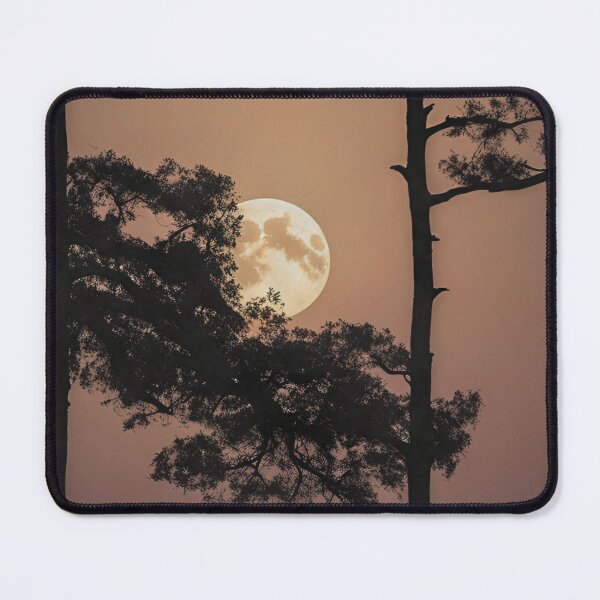 Item preview, Moonrise Through the Pines — Tree Silhouette Night Sky Art Print | Moody Forest Wall Art Home Decor designed and sold by INKandSOULbyLUNA.