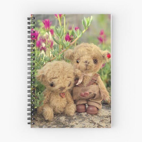 Item preview, 'Brothers' Handmade mohair bear from Teddy Bear Orphans UK designed and sold by Teddy Bear Orphans .