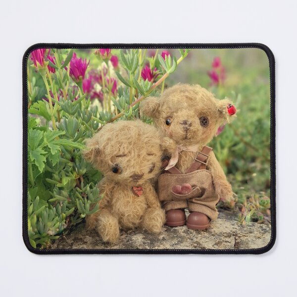 Item preview, 'Brothers' Handmade mohair bear from Teddy Bear Orphans UK designed and sold by Teddy Bear Orphans .