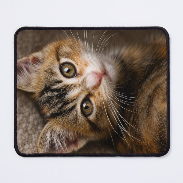 Item preview, Curious Kitten Portrait designed and sold by Kimberly Palmer.