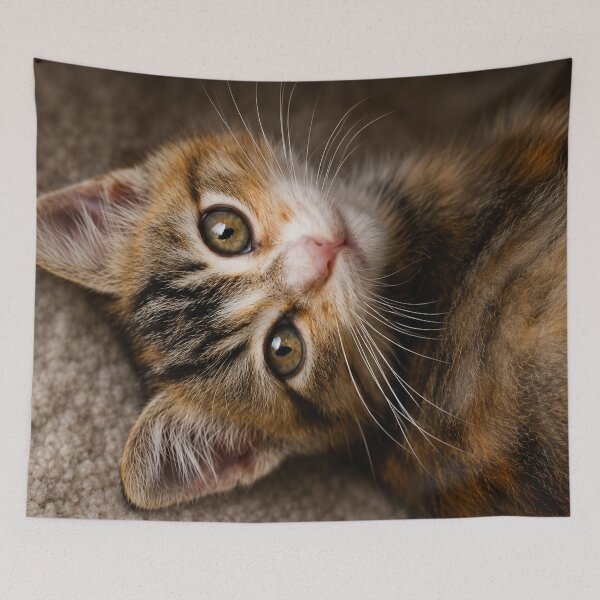 Item preview, Curious Kitten Portrait designed and sold by Kimberly Palmer.