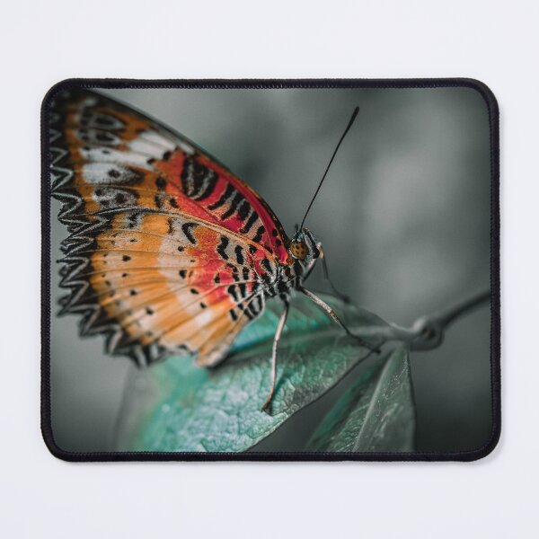 Item preview, orange butterfly designed and sold by Cheneuil.