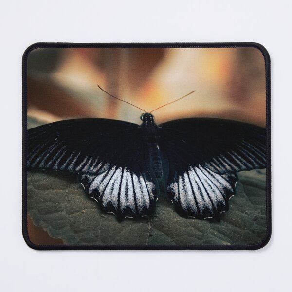Item preview, black and blue butterfly designed and sold by Cheneuil.