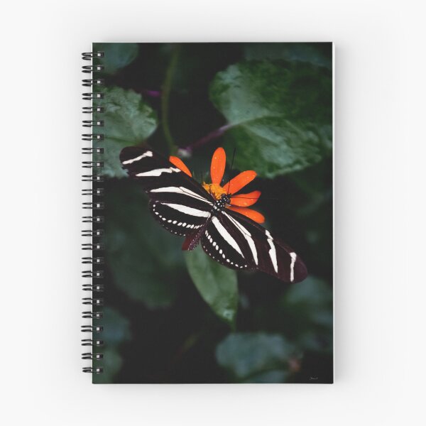 Item preview, black and orange butterfly designed and sold by Cheneuil.