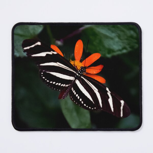 Item preview, black and orange butterfly designed and sold by Cheneuil.