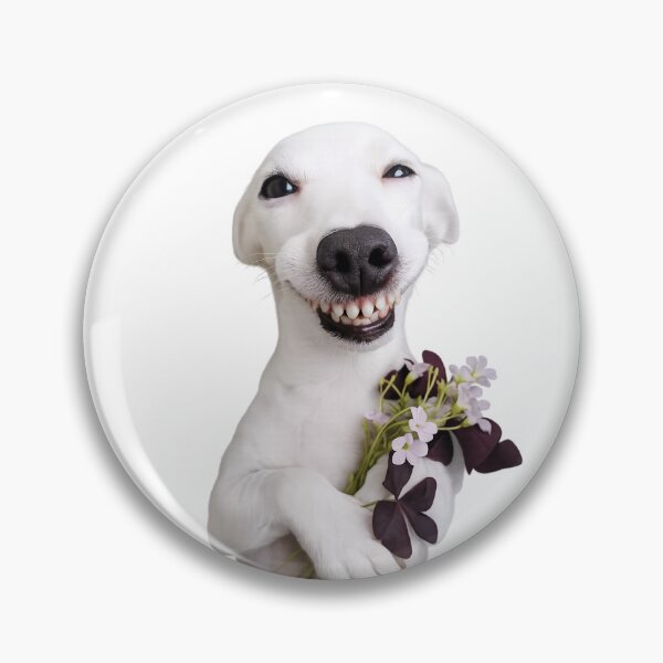 Item preview, Cute smiling dog with flower designed and sold by t-patterns.