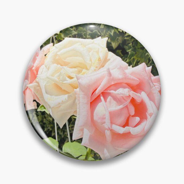 Item preview, Soft Pink and Cream Roses Garden Photography designed and sold by BalkanBloom.