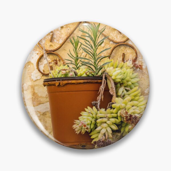 Item preview, Rustic Terracotta Pot With Succulent Hanging On Textured Stone Wall In Mediterranean Setting designed and sold by Nmallia.