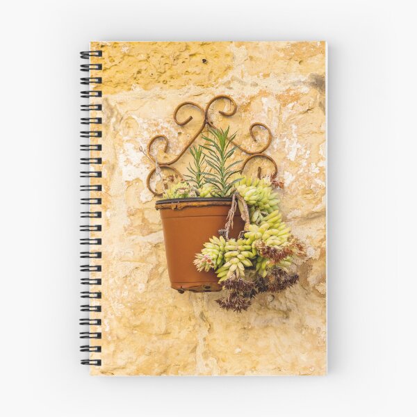 Item preview, Rustic Terracotta Pot With Succulent Hanging On Textured Stone Wall In Mediterranean Setting designed and sold by Nmallia.