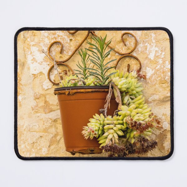 Item preview, Rustic Terracotta Pot With Succulent Hanging On Textured Stone Wall In Mediterranean Setting designed and sold by Nmallia.
